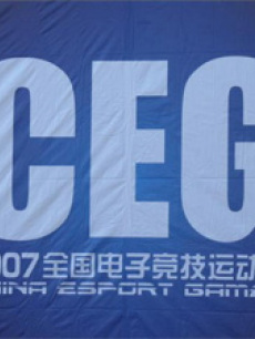 收入证明_ceg收入