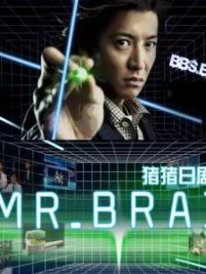 Mr Brain/脑神探