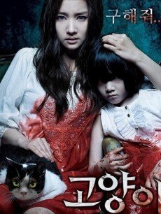 猫:看见死亡的双眼