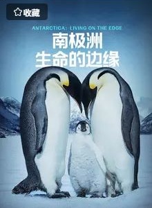 南极洲:生命的边缘
