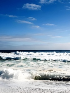 蓝色能源：海盐