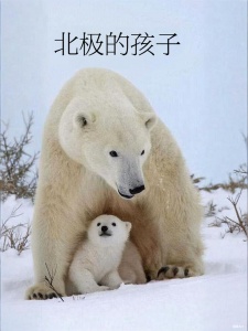 北极的孩子