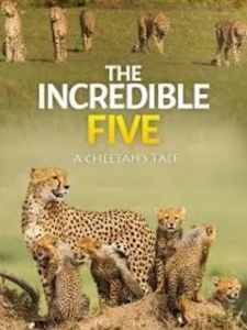 不可思议的五人组-猎豹的故事